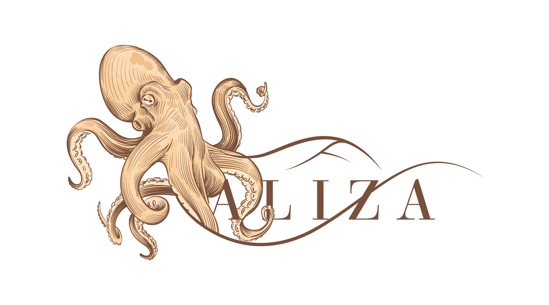Groupe Aliza