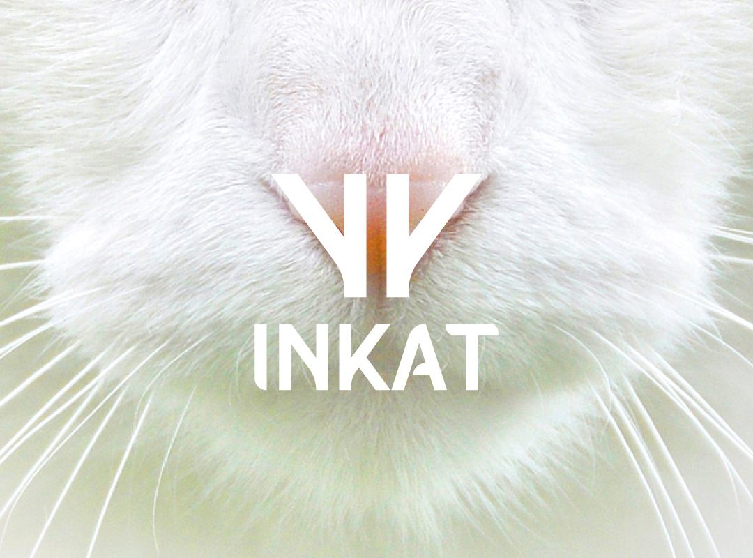 Projet Inkat